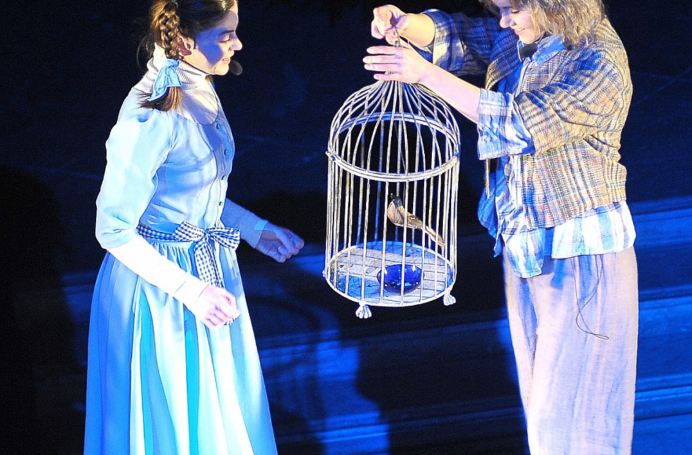 gailis zilo putnu meklējot