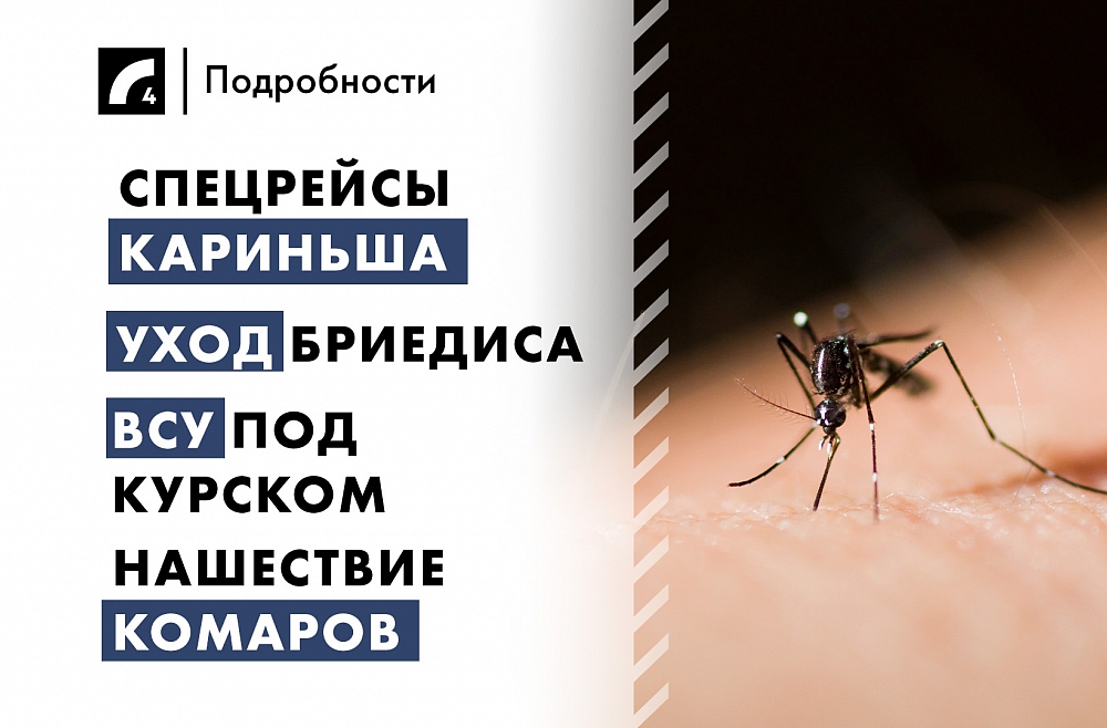 19 августа: главные события дня