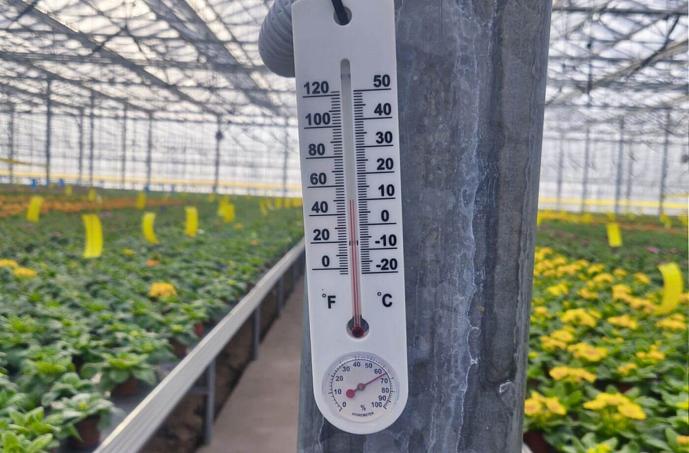 Darbi Vidzemes dārzniecībās neapstājas arī bargā salā. Apkures rēķini pamatīgi