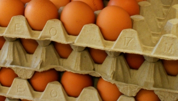 Vai "lauku olas" ir arī bioloģiskās olas?
