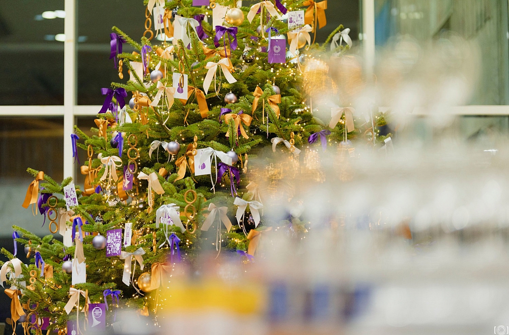 LNSO Gadumija Eglīte