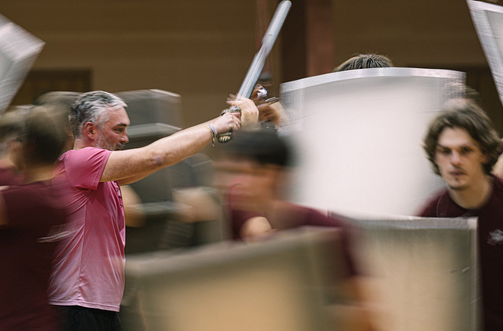 indulis un ārija dzirnas