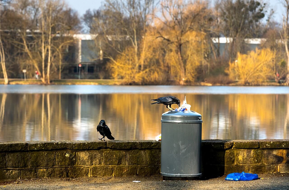 Kā labāk dzīvot