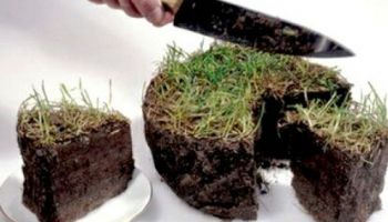 Принудительная аренда: если дом стоит на чужой земле