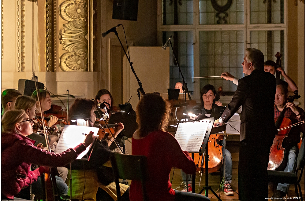 Viesturs Gailis Dzirnavniece