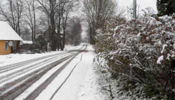 Sinoptiķi ziņo, ka jau rīt Latvijā gaidāms sniegputenis