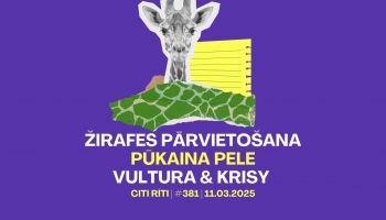 #381 | Žirafes pārvietošana, Pūkaina pele, Vultura un Krisy par "Vīzija"