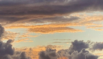 Cik zaļš bija 2025. gads?