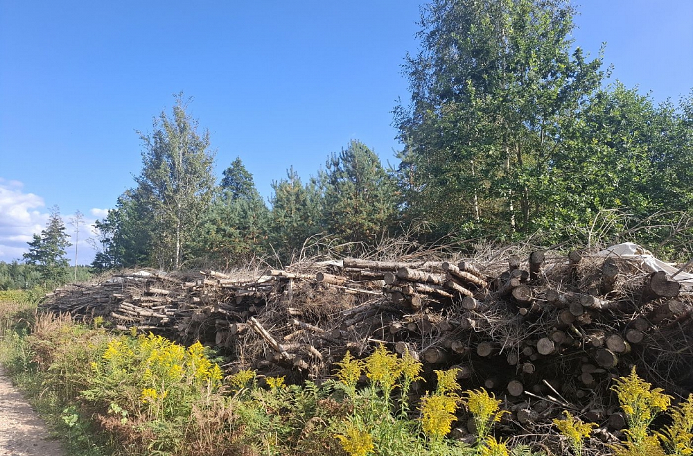 atv-faili-mirstosie-mezi