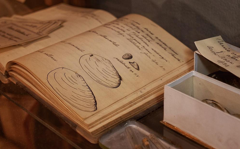 Dabas muzejs krājums