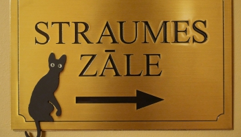 В старейшем кинотеатре Риги открылся зал Straume