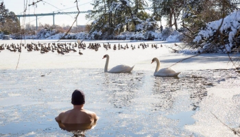 Arī maigā ziemā var nodarboties ar ziemas peldēšanu