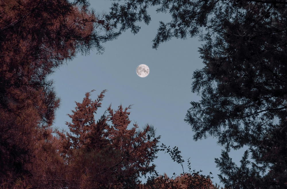 Astrofotogrāfija jeb kā top skaistas un zinātniskas kosmosa fotogrāfijas