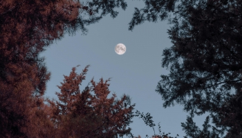 Astrofotogrāfija jeb kā top skaistas un zinātniskas kosmosa fotogrāfijas