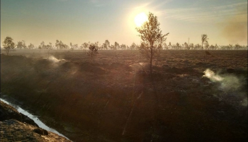 Talsu novada Valdgales pagastā lielā platībā deg kūdras purvs