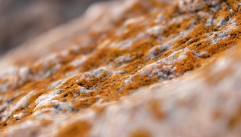 Iespējams, arī Latvijas teritorijā ir bagātīgas rūdas atradnes