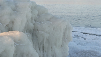 Latvijas piekrastē ziemojošo putnu uzskaiti veic ar lidmašīnu. Stāsta ornitologs