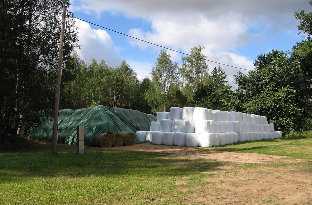 Plāņi Jānis Kaucis
