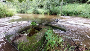 Lai atjaunotu upes dabisko tecējumu Riežupē, plāno demontēt vecu betona šķērsli