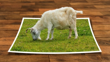 Выходить за рамки и нарушать правила. Можно ли и когда?