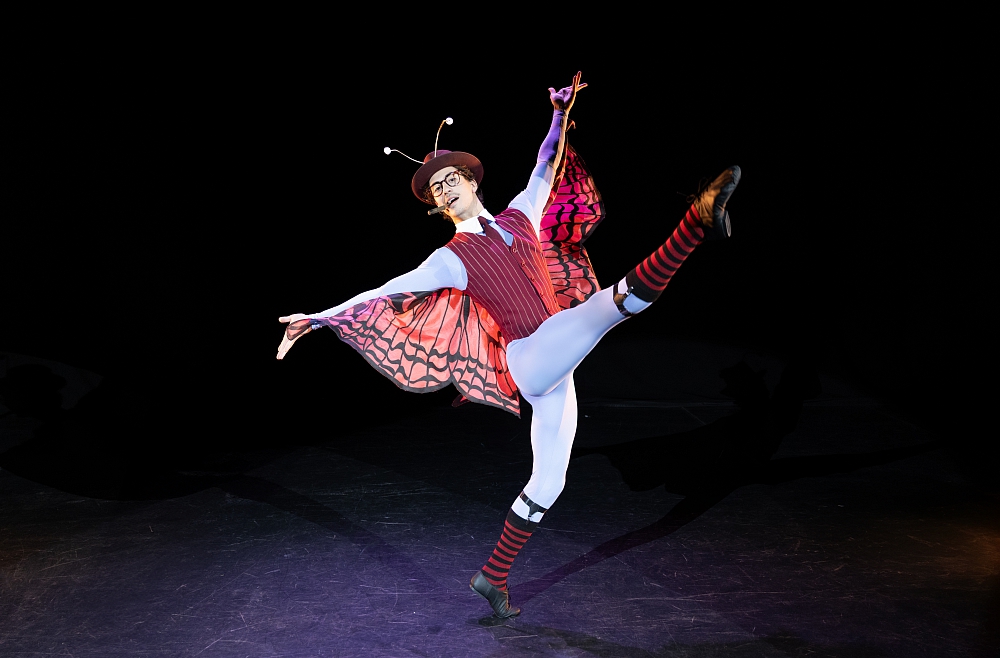 balets, Koncerts (briesmas ikvienam)