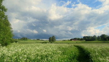 Jūrtakas posms pašu acīm, zālāja un pļavu nozīme Latvijas ainavā