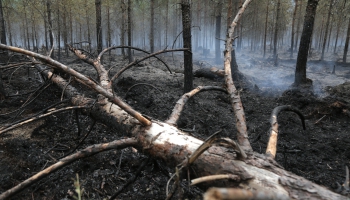 Mežu un purvu ugunsgrēku dzēšanu Latvijā koordinē Valsts meža dienests