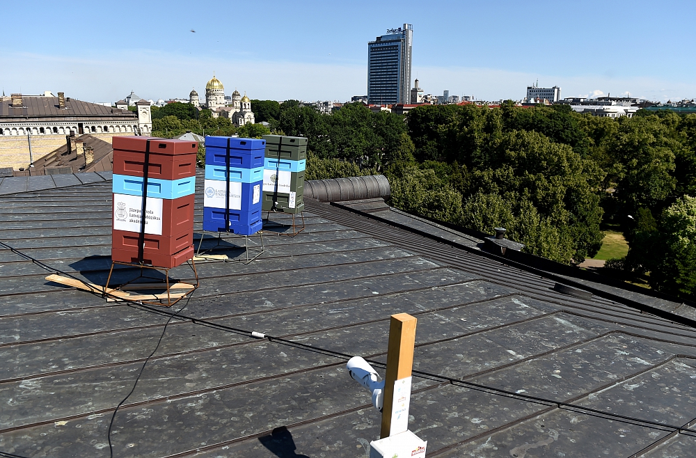 Bišu stropi BITES vai zini 