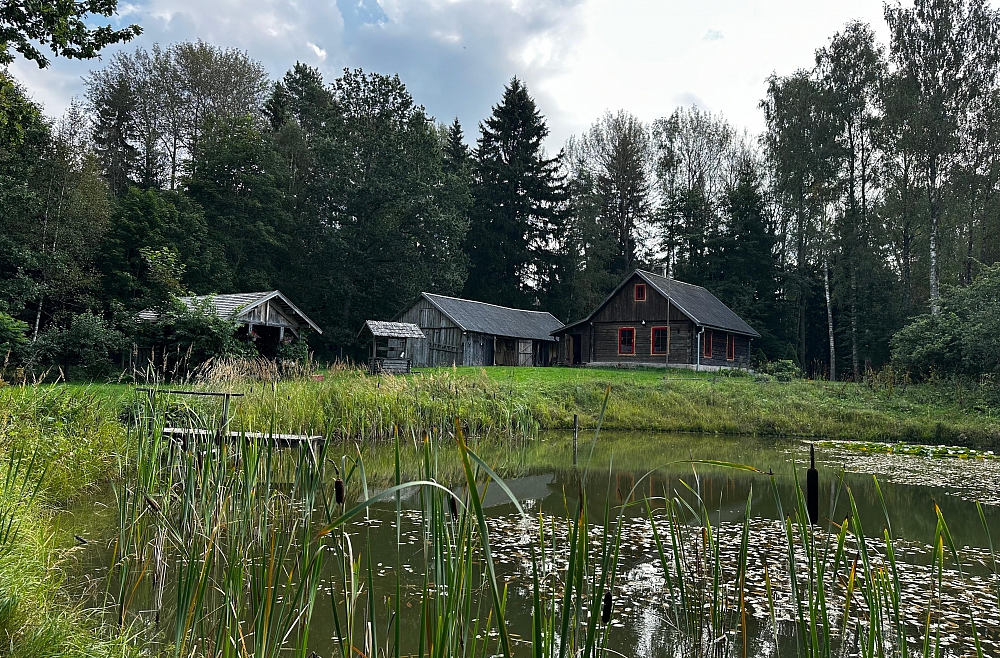 Bērzkalniņi, lauki, Julija Hansen, Chris Oram