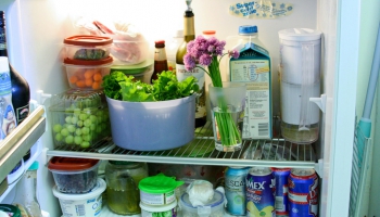 Pārtikas uzglabāšana vasarā: Pērc mazāk, pazemini ledusskapja temperatūru
