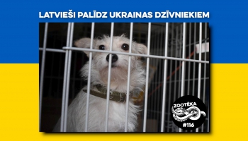 Latvieši palīdz Ukrainas dzīvniekiem