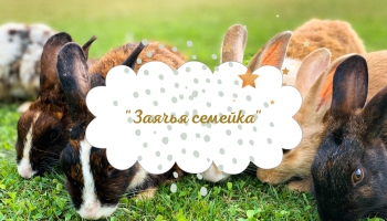 Марина Житникова - сказки из книги "Заячья семейка"