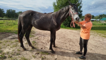 Хозяйка спортклуба из Бебрене: “Лошади тоже смеются”
