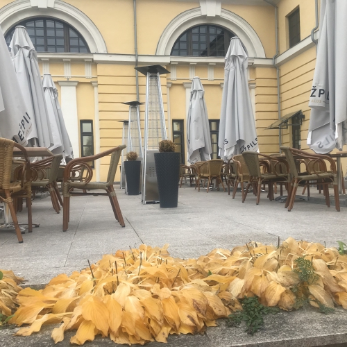 Ēdināšanas nozares pārstāvji Latgalē: Savelkam jostas ciešāk
