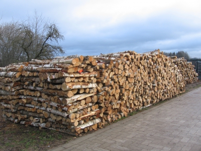 Krustpunktā diskusija: Vai Latvija var sevi nodrošināt ar koksnes kurināmo?