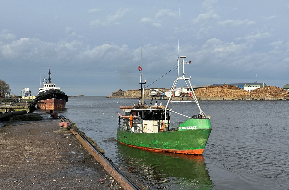 Piekrastes zvejnieku lielākais bieds – roņi un zvejas liegumi. Aizliegs zušu zveju.