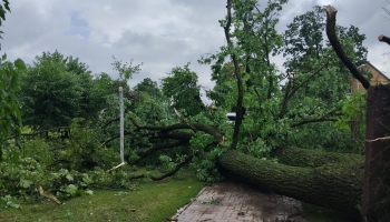 Anita Liepa "Vējgāze"