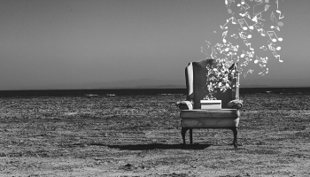 "Grēviņa kabinets" | #109