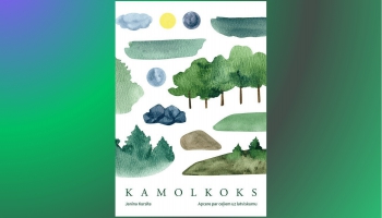 "Kamolkoks". Klausāmies Janīnas Kursītes versiju par latviskuma izpratni dažādos laikos