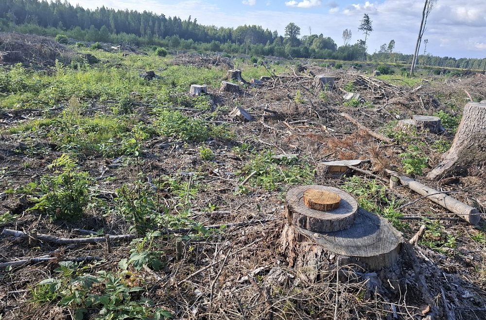 atv-faili-mirstosie-mezi