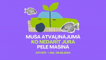 #451 | Muša atvaļinājumā, Ko nedarīt jūrā, Pele mašīnā