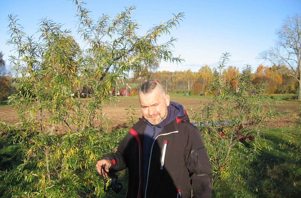 Stiprie stāsti