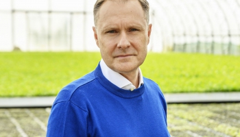 "Latvijas finiera" attīstības un pētniecības sektora vadītājs Māris Būmanis