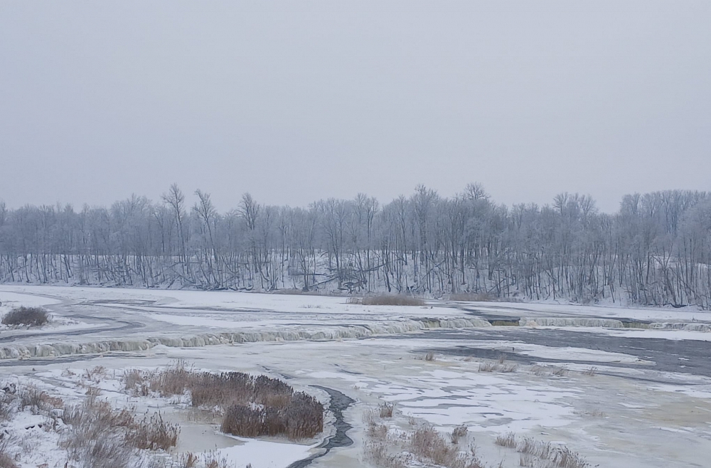 vai zini ventas rumba