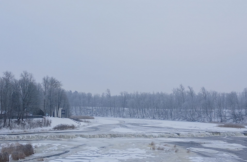 vai zini ventas rumba