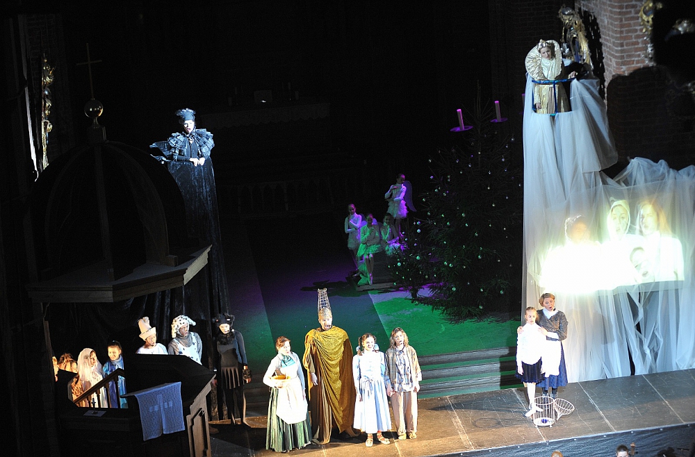 gailis zilo putnu meklējot