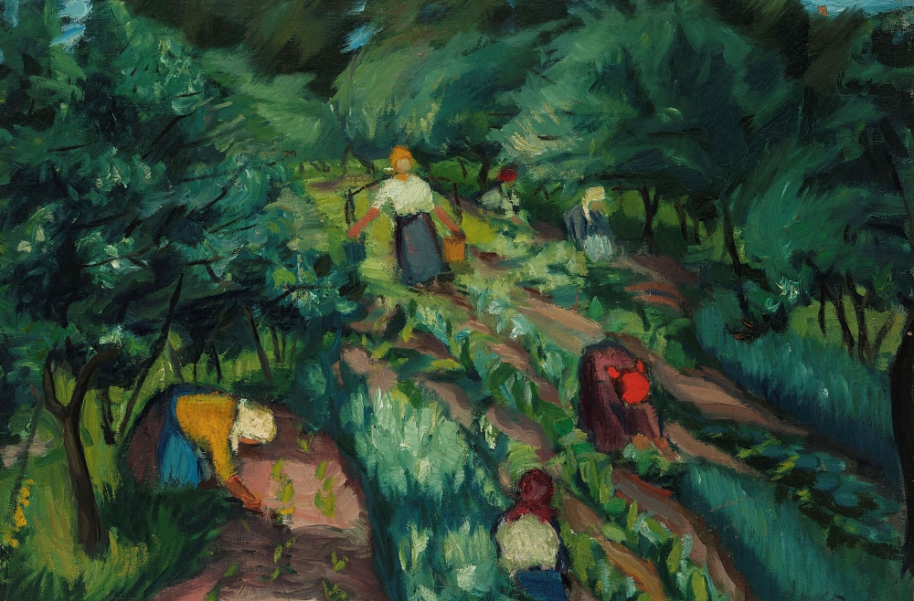 vai zini nora drapče