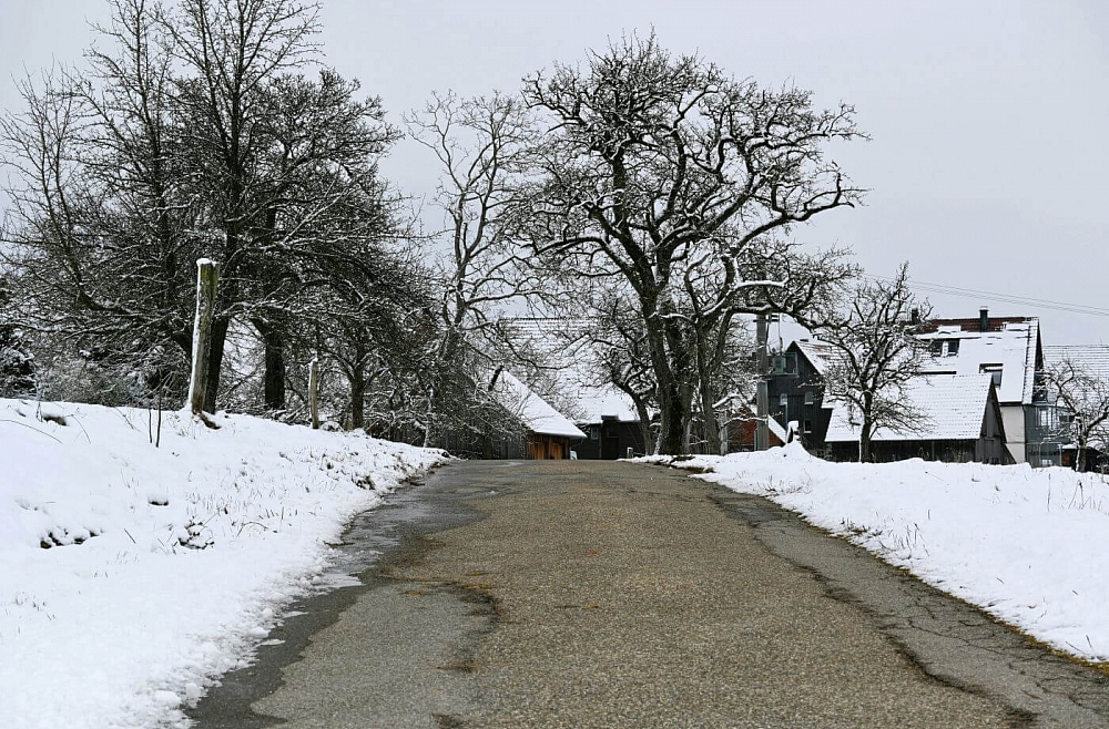 Dienas gaišais laiks: kā to pilnvērtīgi izmantot fiziskai un mentālai veselībai