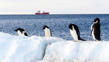 Antarktikā veidos pasaulē lielāko jūras rezervātu