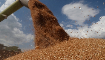 No Ukrainas izved graudus; palīdzība mazāk attīstītajām valstīm joprojām nepieciešama